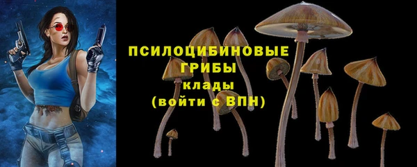 героин Алзамай